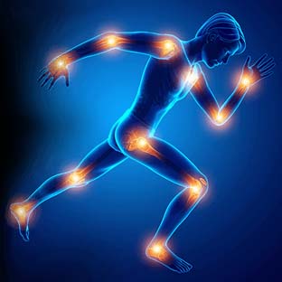 MusculaRx is the First Sports Pharmacy in India designed specifically for athletes